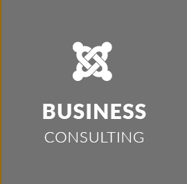 Business Consulting