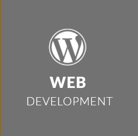 Web Development